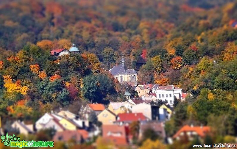 Podzimní Krupka - Foto Jiří Havel (1)