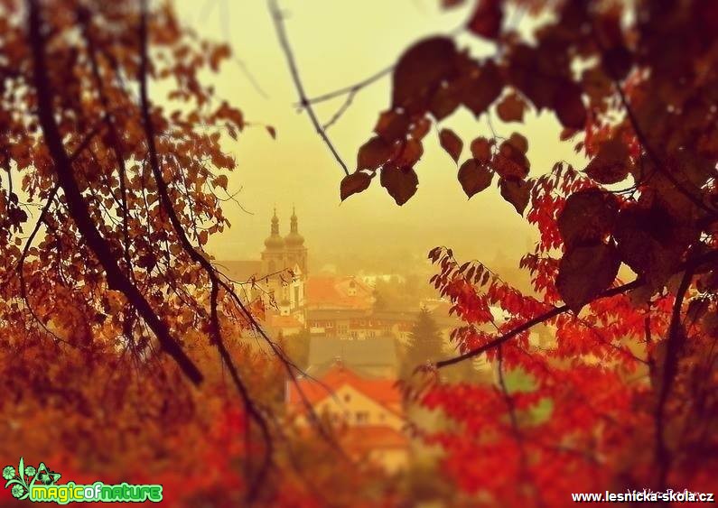 V podzimních barvách - Foto Jiří Havel