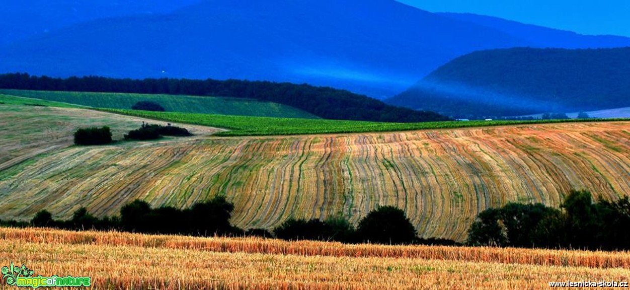 Navečer - Foto Pavel Balazka