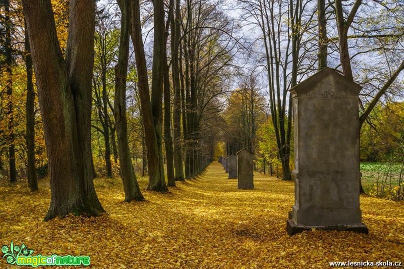 Cvikovská kalvárie - Foto Petr Germanič