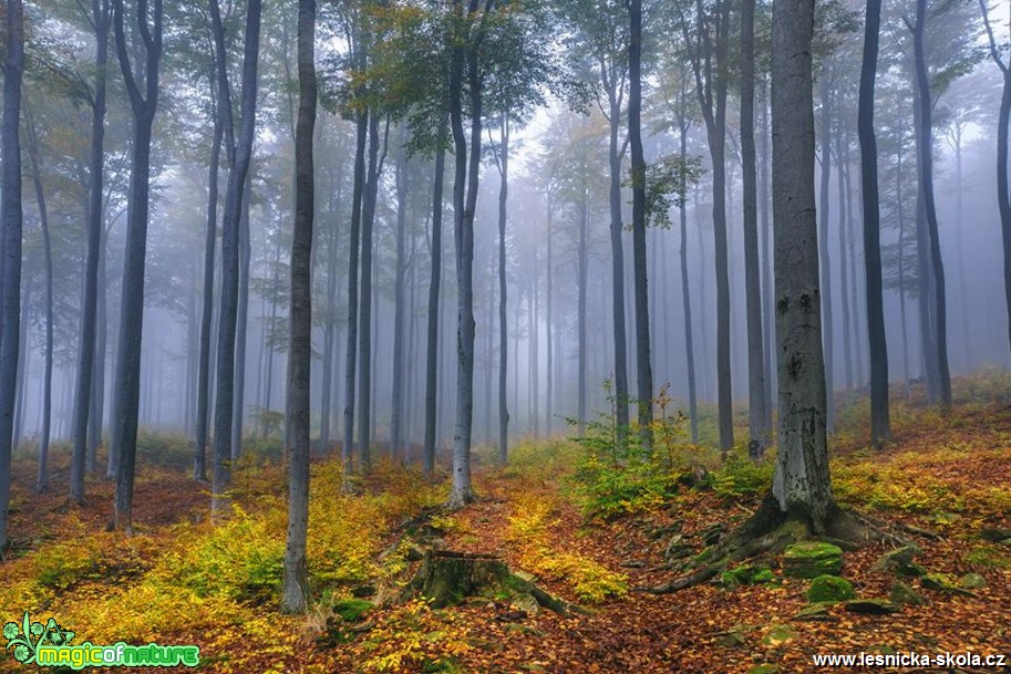 Pod kamenným mořem - Foto Petr Germanič