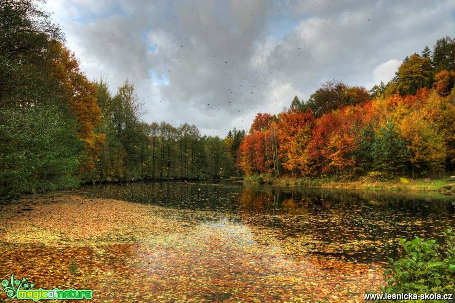 A listí padá - Foto Petr Germanič