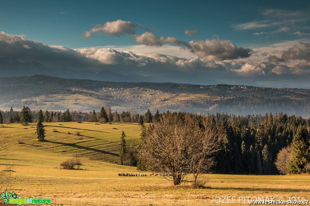 Krása hor - Foto Jozef Pitoňák 11-16 (6)