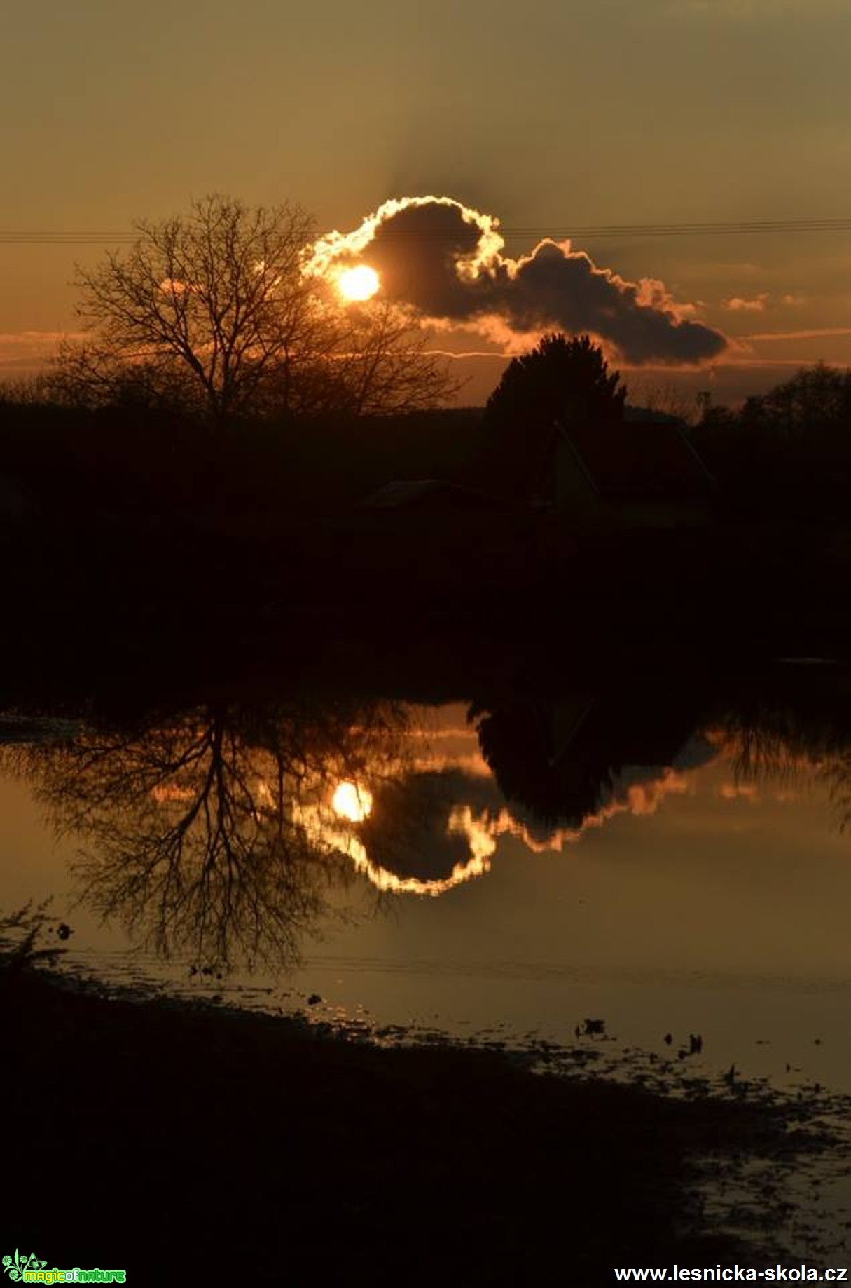 Odpolední fotografování - Foto Marie Vykydalová