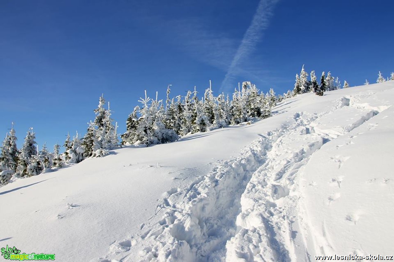 Od Šance po žluté na Lysou horu 4.12. 2016 - Foto Jan Valach (1)