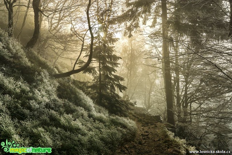 U kamenného moře - Foto Petr Germanič