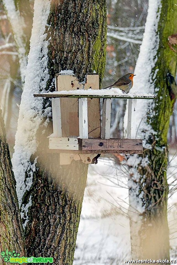 Toulky kolem Mostu - Foto Pavel Ulrych (3)