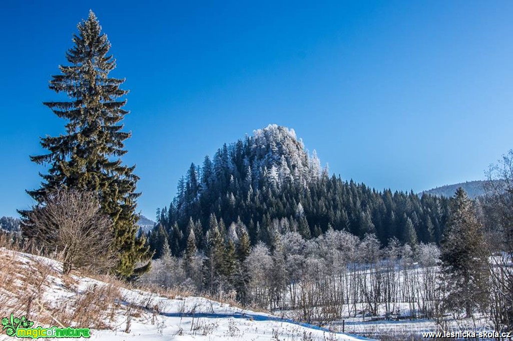 Ostrá skála - Foto Jozef Pitoňák