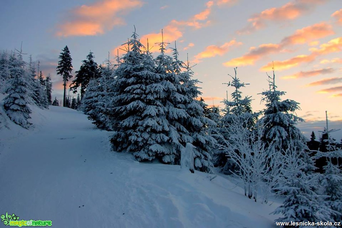 Po červené na Lysou 10.1. 2017 - Foto Jan Valach