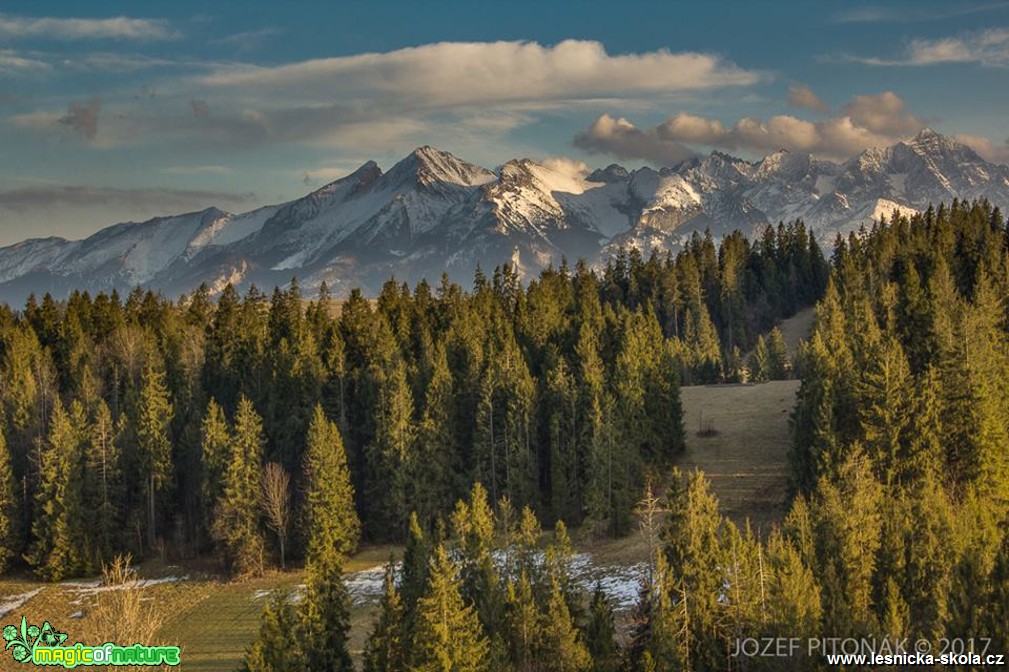 Život slovenských hor - Foto Jozef Pitoňák 0317 (3)