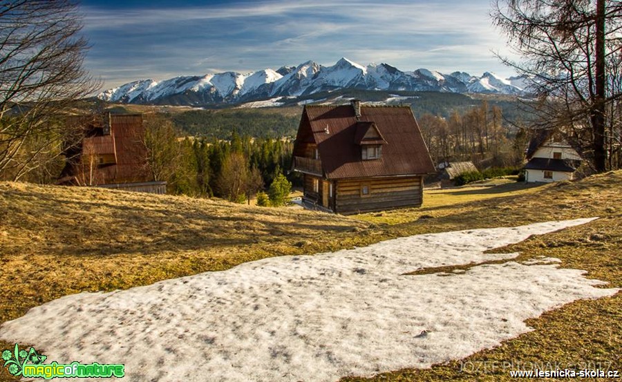 Život slovenských hor - Foto Jozef Pitoňák 0317 (5)