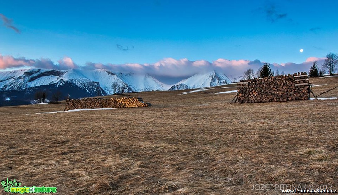 Život slovenských hor - Foto Jozef Pitoňák 0317 (9)