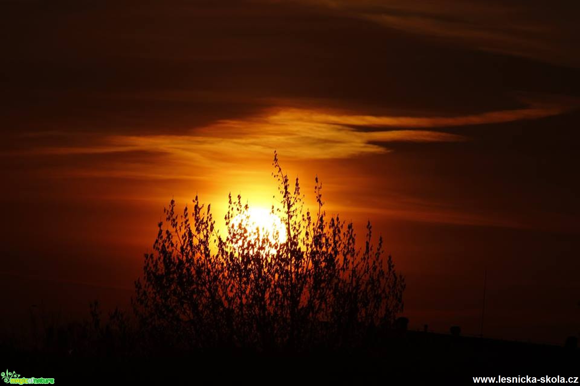 Když slunce kouzlí - Foto Ladislav Jonák 0317 (1)