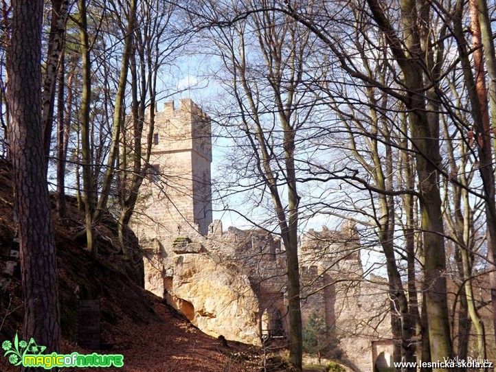 Helfenburg u Úštěka - Foto Jiří Havel 0317