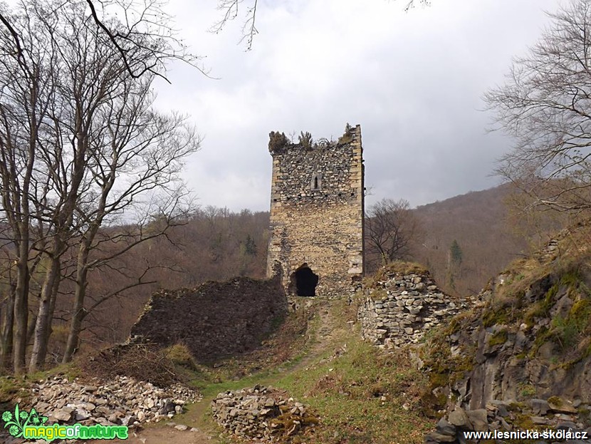 Rýzmburg u Oseka - Foto Jiří Havel 0417