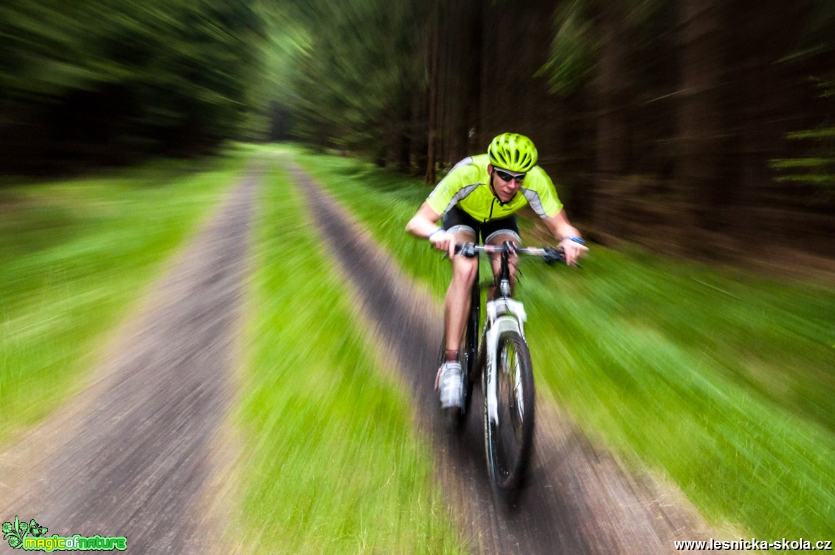 Cyklo-panning - Foto Filip Holič