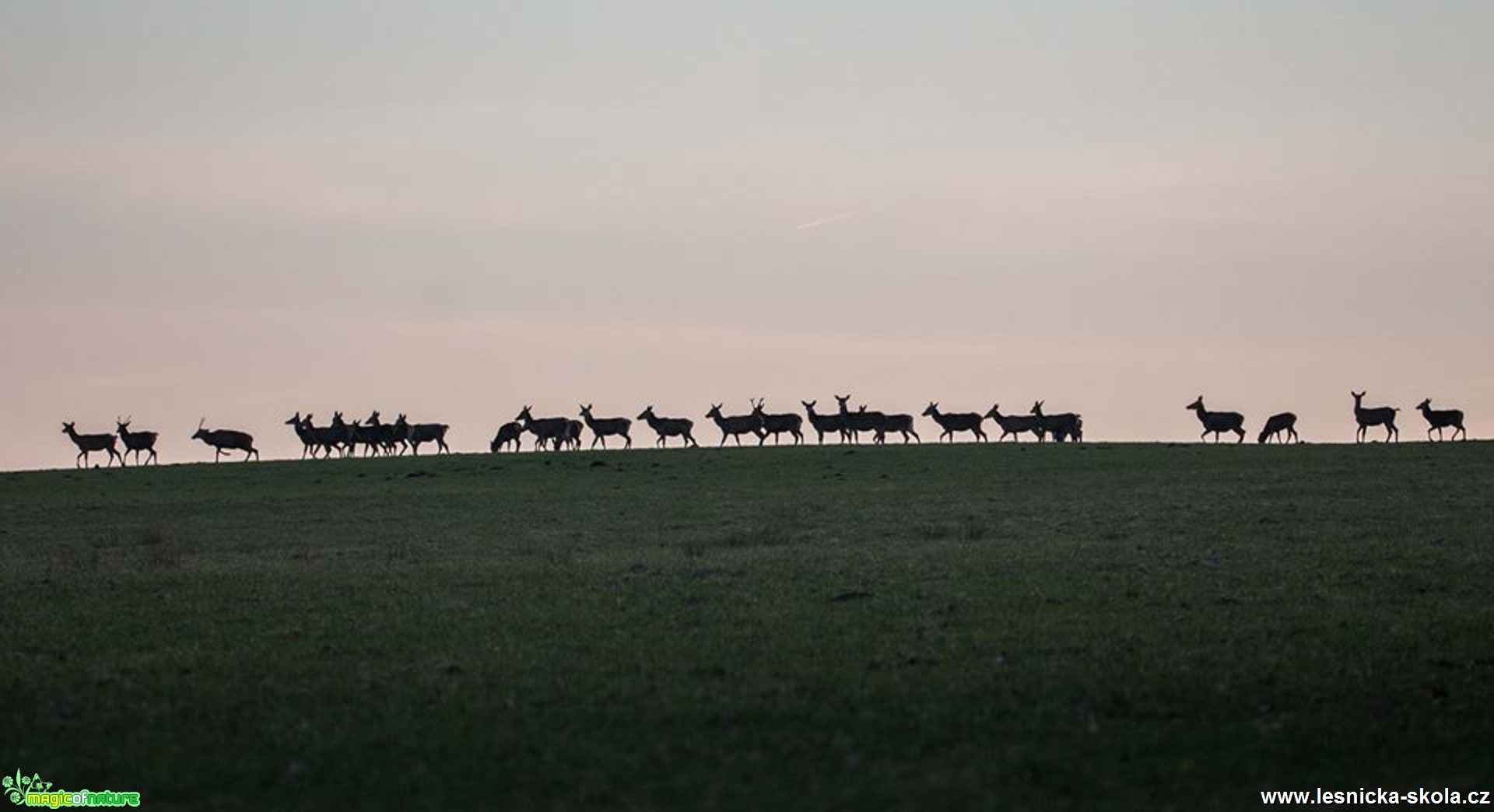 Na horizontu - Foto Lukáš Málek 0517