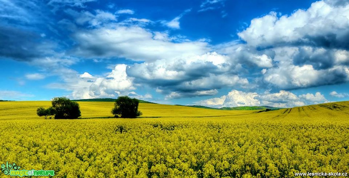 Za hory a doly - Foto Pavel Balazka 0517