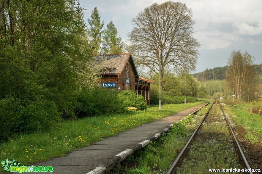 Lvová - Foto Petr Germanič 0517