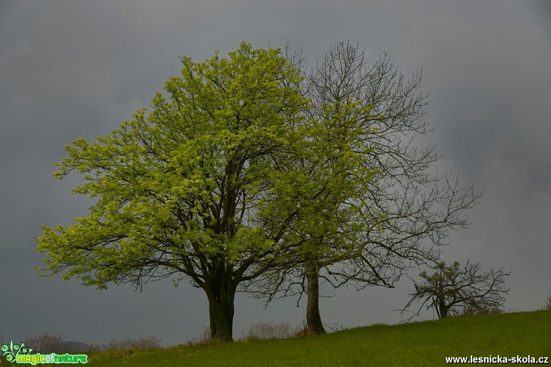 Před bouří - Polevsko - Foto Petr Germanič 0517