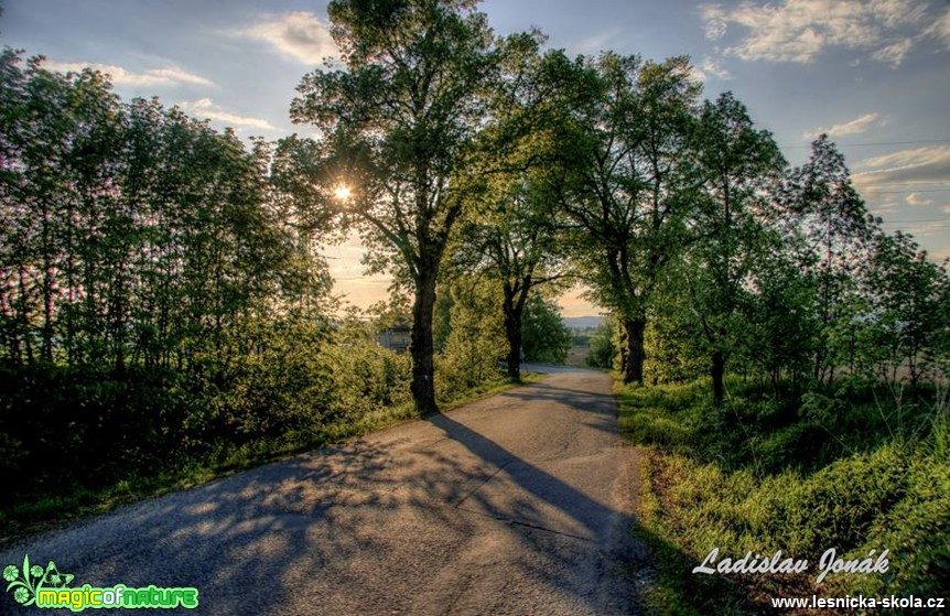 Hra se stíny - Foto Ladislav Jonák 0517