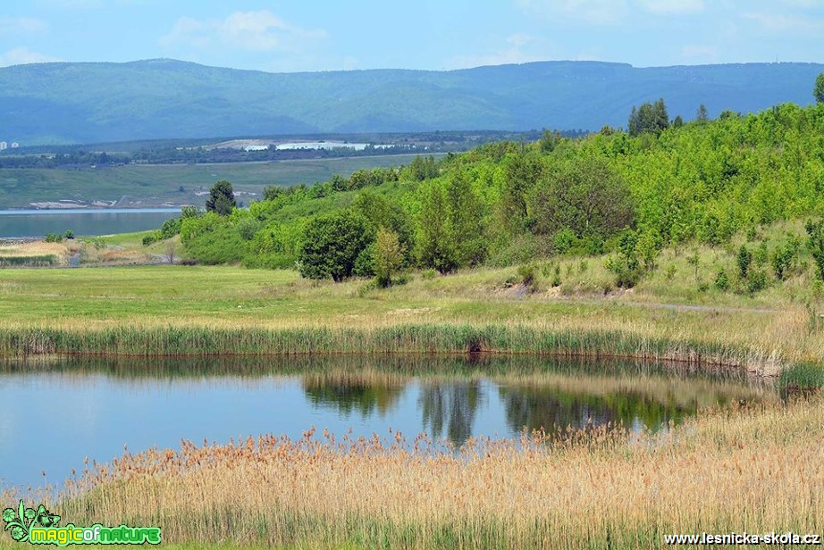 Mostecké jezero - Foto Pavel Ulrych 0517 (1)