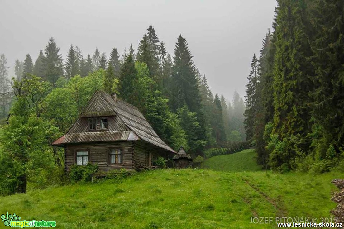 Horské scenerie - Foto Jozef Pitoňák 0617 (2)