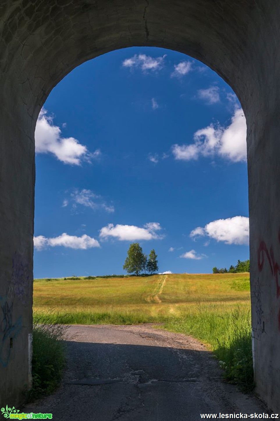 Rousínovský viadukt - Foto Petr Germanič 0617