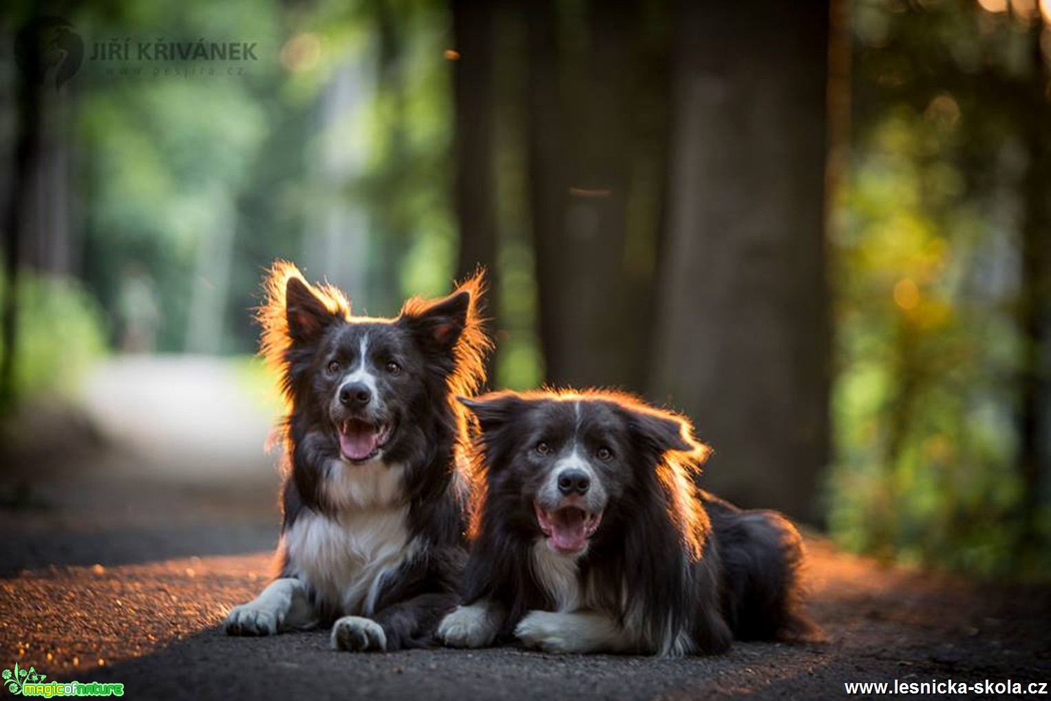 Plameňáci - Foto Jiří Křivánek 0617