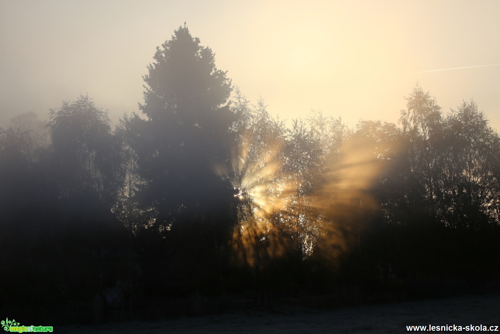 Šluknovsko - Foto Irena Wenischová 0617 (2)