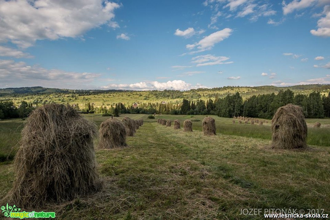 Krása a divokost hor - Foto Jozef Pitoňák 0617 (3)