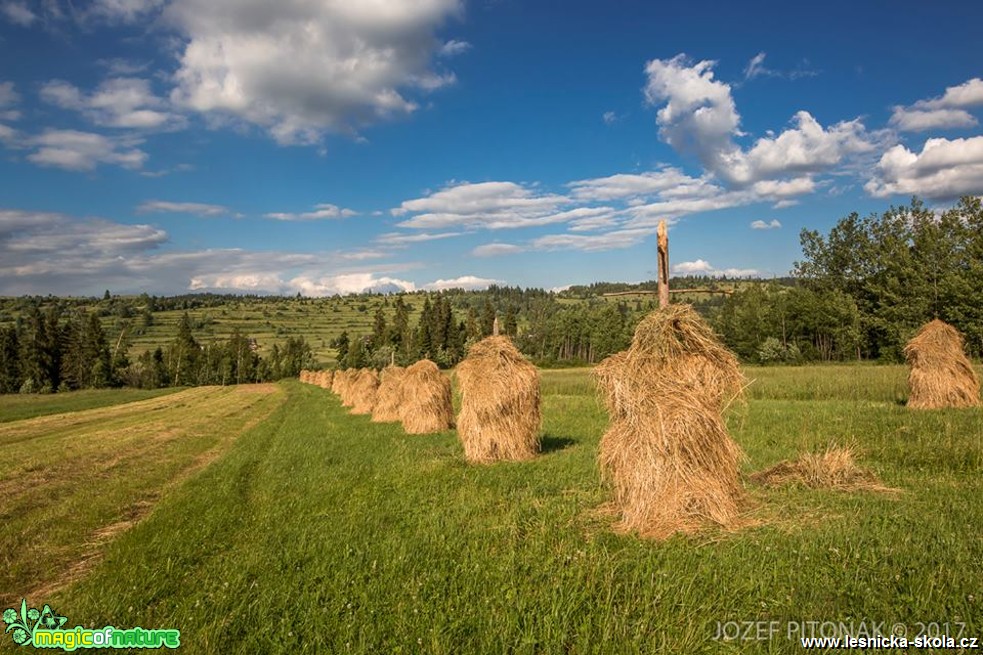 Krása a divokost hor - Foto Jozef Pitoňák 0617 (4)