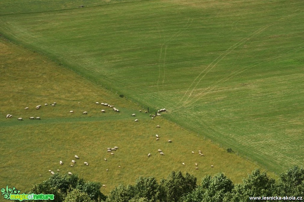 Výlet na Českolipsko - Foto Tomáš Kunze 0717 (4)