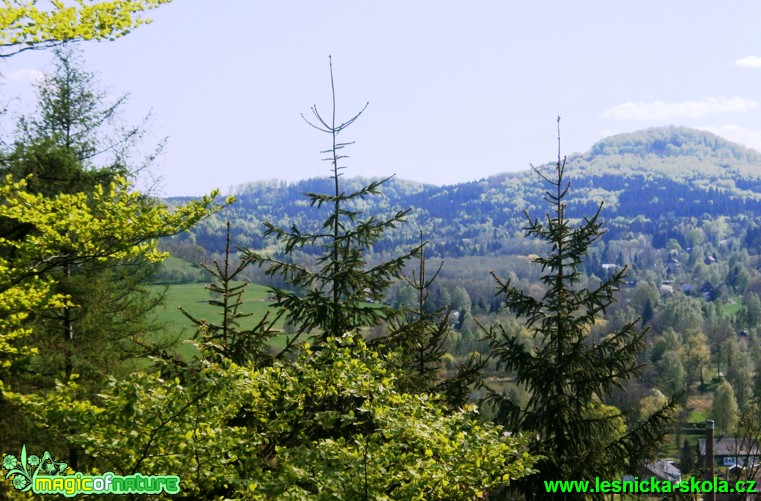 Krajina Honí Chřibské - Foto Eliška Devátá (1)