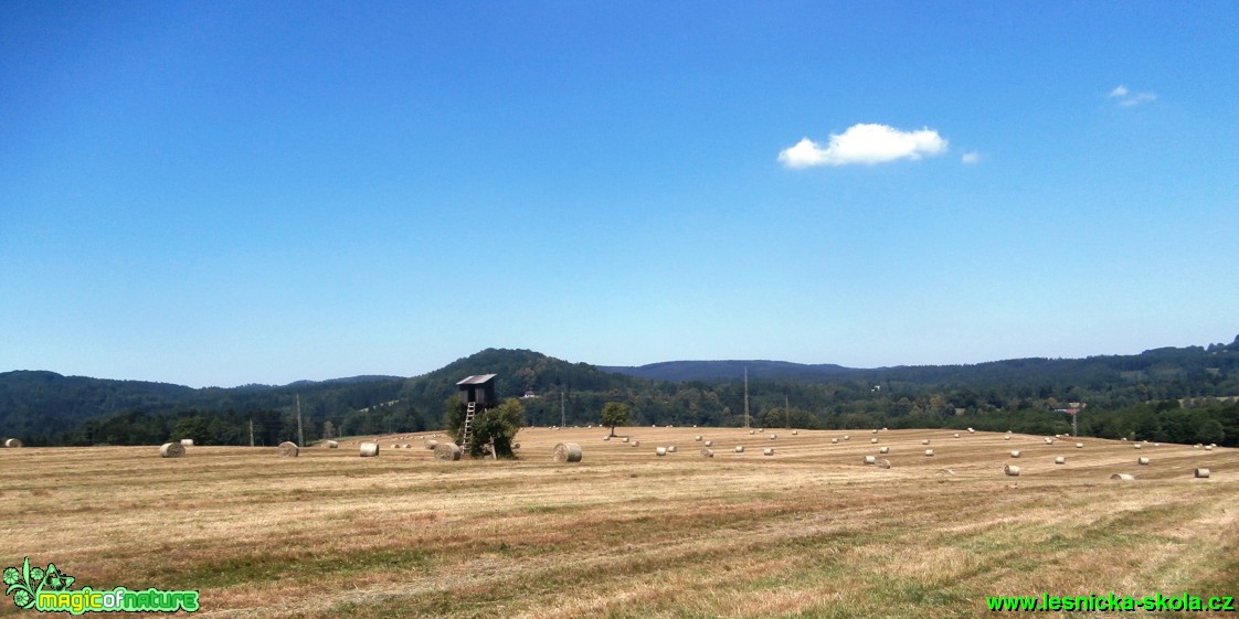 Krajina kolem Chřibské - Foto Eliška Devátá (1)