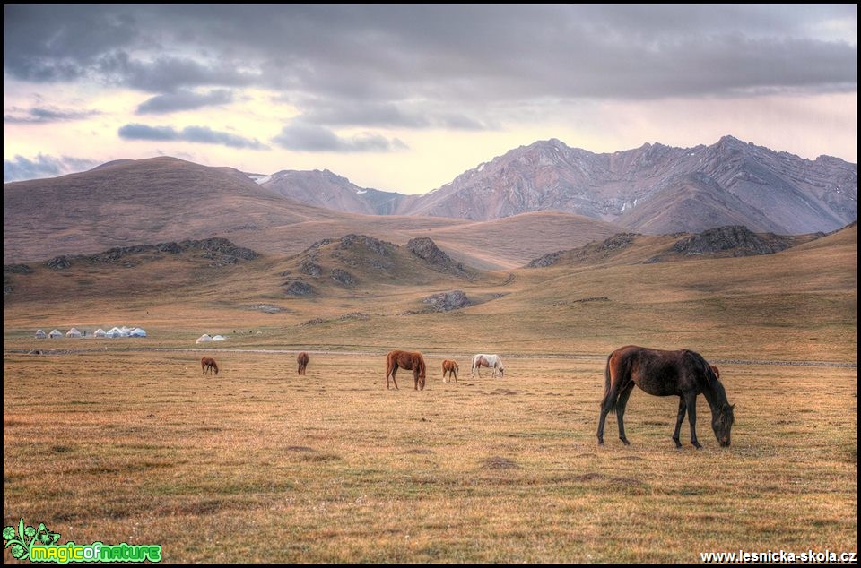 Kyrgyzstán 2016 - Foto Jana Vondráčková (39)