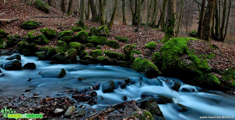 Říčka - Foto Pavel Balazka