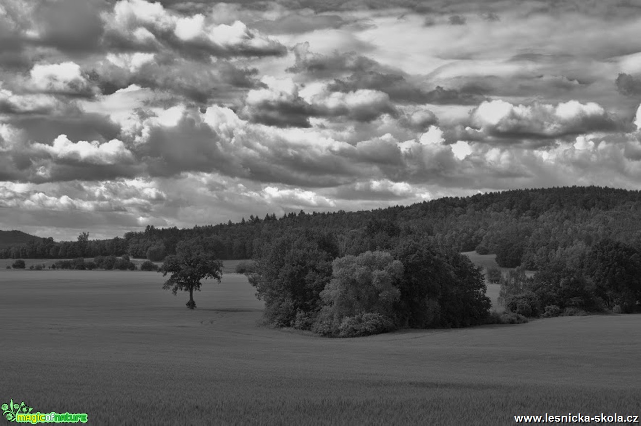 Výlet na Českolipsko - Foto Tomáš Kunze 0717 (1)