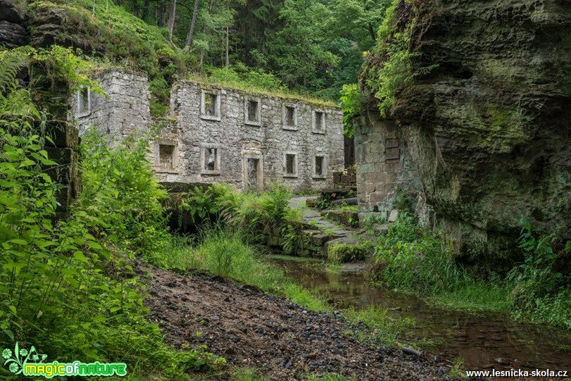 Dolský mlýn po dešti - Foto Petr Germanič 0817