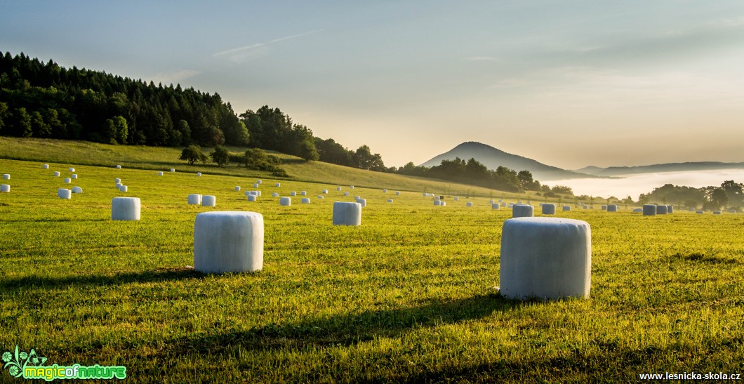 Ranní mlhy nad Huntířovem - Foto David Hlinka 0617 (1)