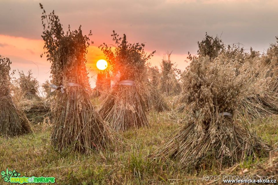 Krása slovenských hor - Foto Jozef Pitoňák 0917 (2)