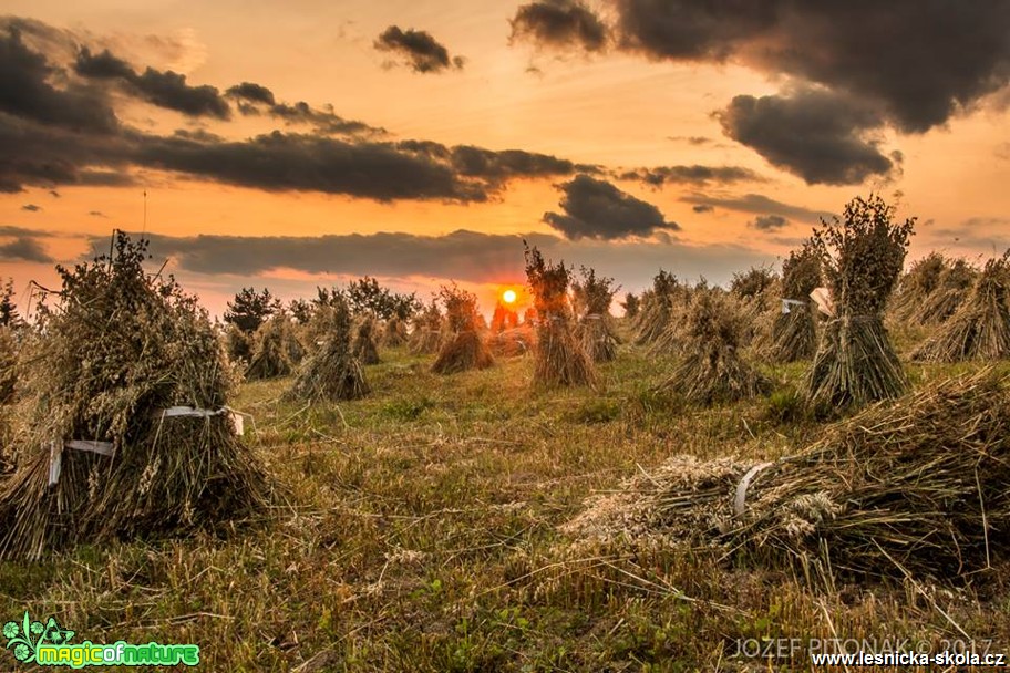 Krása slovenských hor - Foto Jozef Pitoňák 0917 (3)