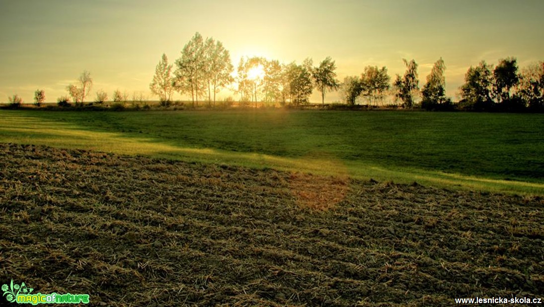 Srpnový podvečer - Foto Ladislav Jonák 0817