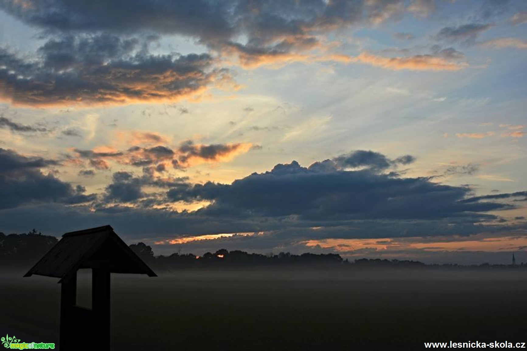 Přišel podzim - Foto Marie Vykydalová 1017