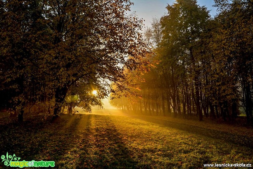 Podzimní barvy - Foto Pavel Ulrych 1017