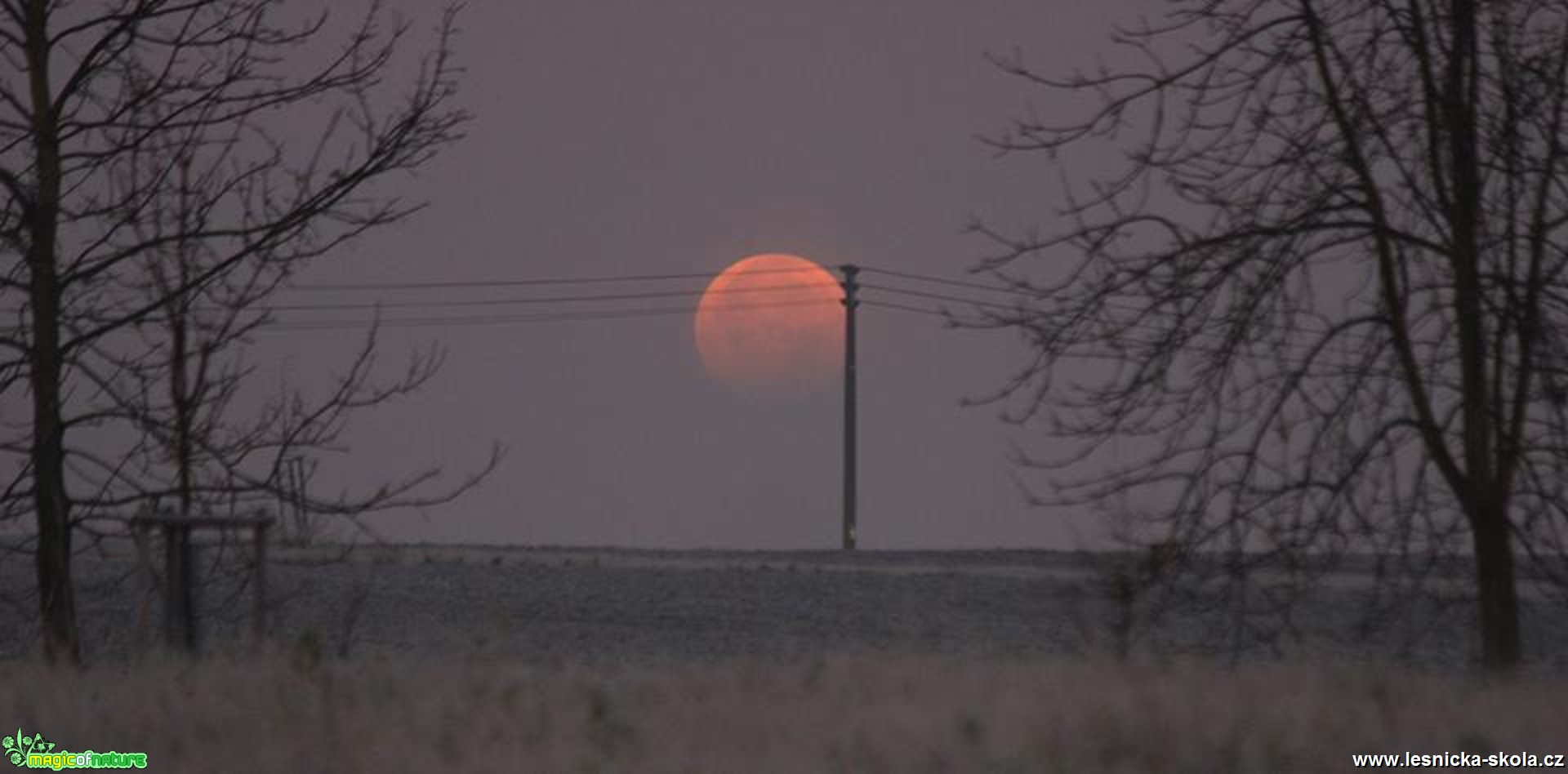 Listopadová - Foto Ladislav Jonák 1117