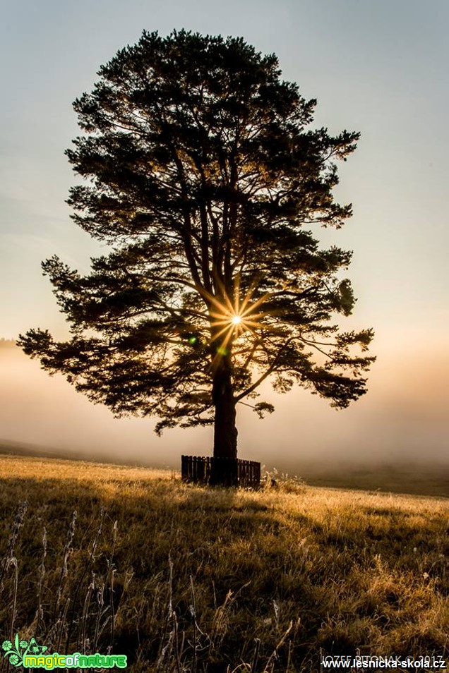 Krása a divokost hor - Foto Jozef Pitoňák 1117 (8)