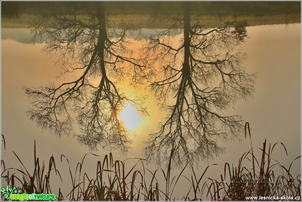 Šluknovsko - Foto Monika Suržinová 1117