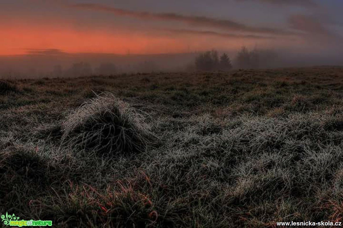 Přichází zima - Foto Ladislav Jonák 1117