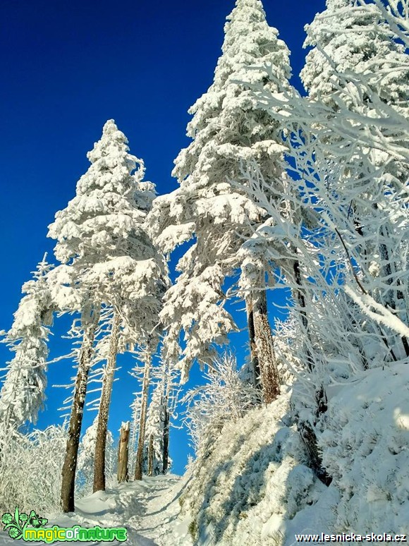 Přírodní ledová krása na Lysé 1. 12. 2017 - Foto Jan Valach